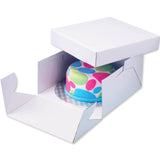 PME Round Cake Board & Box Set - 20cm - Potters Cookshop