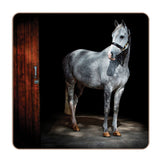 iStyle Rural Roots 4 Piece Square Coaster Set - Horse