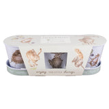 Wrendale Designs by Hannah Dale Set of 3 Herb Pots & Tray - Mice