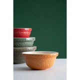 Mason Cash In The Forest Mixing Bowl - Red Hedgehog - Potters Cookshop