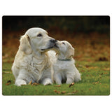 iStyle Rural Roots 4 Piece Rectangular Placemat Set - Golden Retriever