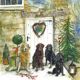 Alex Clark 8-Pack Boxed Christmas Cards - Christmas Dogs
