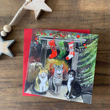 Alex Clark 8-Pack Boxed Christmas Cards - Christmas Felines
