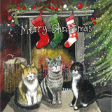 Alex Clark 8-Pack Boxed Christmas Cards - Christmas Felines