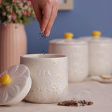 Price & Kensington Tea Storage Jar - Daisy