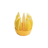 Progressive PrepWorks Citrus Keeper - Assorted
