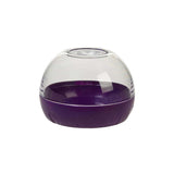 Progressive PrepWorks Onion Keeper - Purple