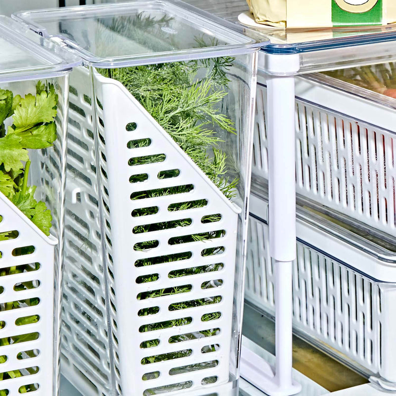 OXO Good Grips Produce Saver - Herb Keeper