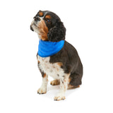Petface Cooling Pet Bandana - Medium