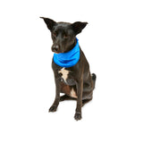 Petface Cooling Pet Bandana - Large
