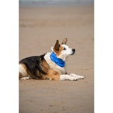 Petface Cooling Pet Bandana - Large