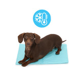 Petface 40cm x 50cm Cooling Pet Mat