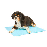 Petface 40cm x 50cm Cooling Pet Mat