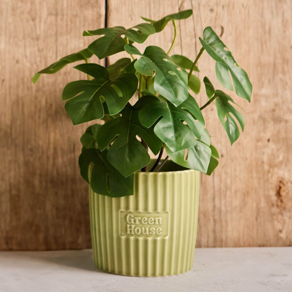 T&G Green House Large Plant Pot
