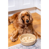 Mason Cash 20cm Slow Feeder Pet Bowl - Cane