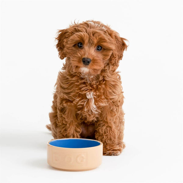 Mason Cash Cane & Blue Lettered Dog Bowl - 13cm