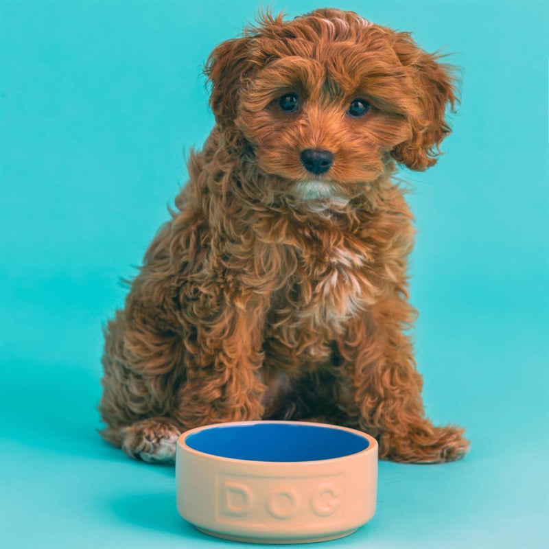 Mason Cash Cane & Blue Lettered Dog Bowl - 18cm