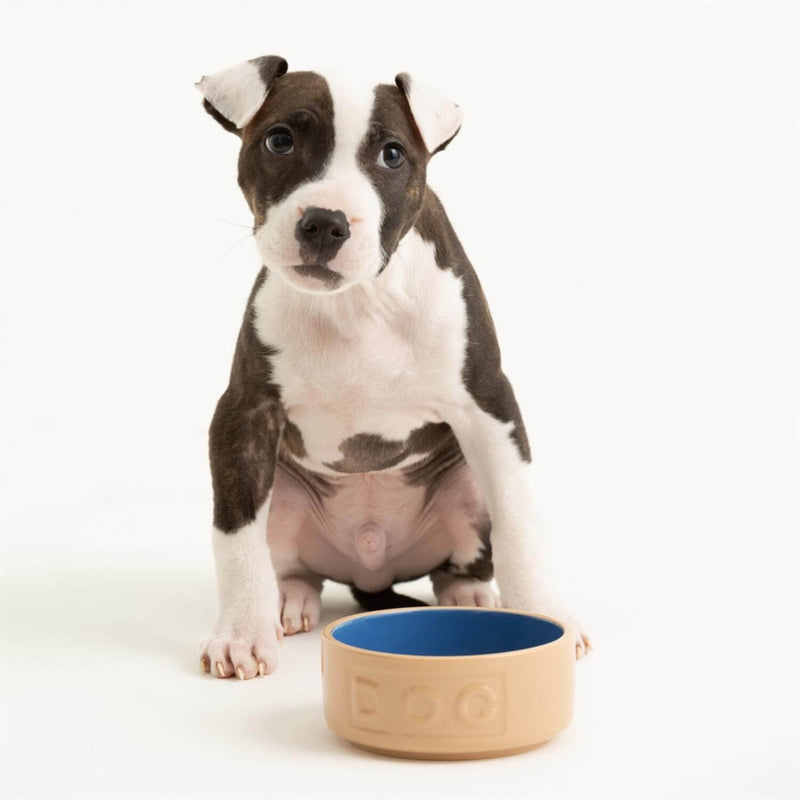 Mason Cash Cane & Blue Lettered Dog Bowl - 18cm