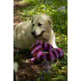 Petface Buddies 115cm Snake Plush Dog Toy - Assorted