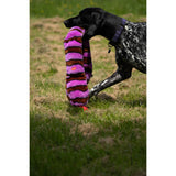 Petface Buddies 115cm Snake Plush Dog Toy - Assorted