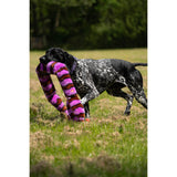 Petface Buddies 115cm Snake Plush Dog Toy - Assorted