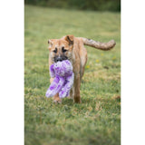 Petface Buddies Orla Octopus Plush Dog Toy - Small