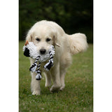 Petface Buddies Noodle Ram Plush Dog Toy