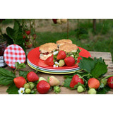 Navigate Strawberries & Cream Set of 4 Reusable Plates in Mixed Colours