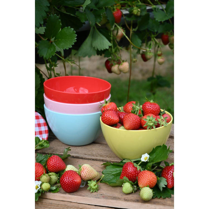 Navigate Strawberries & Cream Set of 4 Stacking Bowls in Mixed Colours