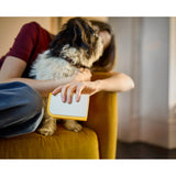 Joseph Joseph CleanTech™ 3-in-1 Pet Hair Cleaning Tool