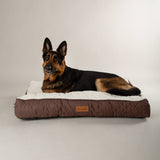 Scruffs Wilton 82cm x 58cm Mattress - Assorted