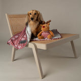 Scruffs Santa Paws Blanket & Reindeer Gift Set - Red