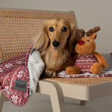 Scruffs Santa Paws Blanket & Reindeer Gift Set - Red