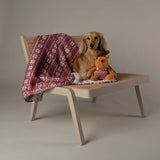Scruffs Santa Paws Blanket & Reindeer Gift Set - Red
