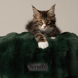 Scruffs Festive Fur 50cm Round Cat Bed - Green