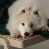Scruffs Festive Fur Pet Blanket - Green