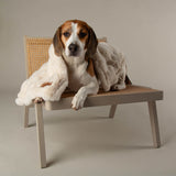 Scruffs Festive Fur Pet Blanket - Cream