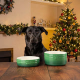 Scruffs Winters Tail 15cm Stoneware Food & Drink Bowl Gift Set - Green