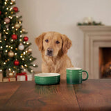 Scruffs Winters Tail 15cm Stoneware Food Bowl & Mug Gift Set - Green
