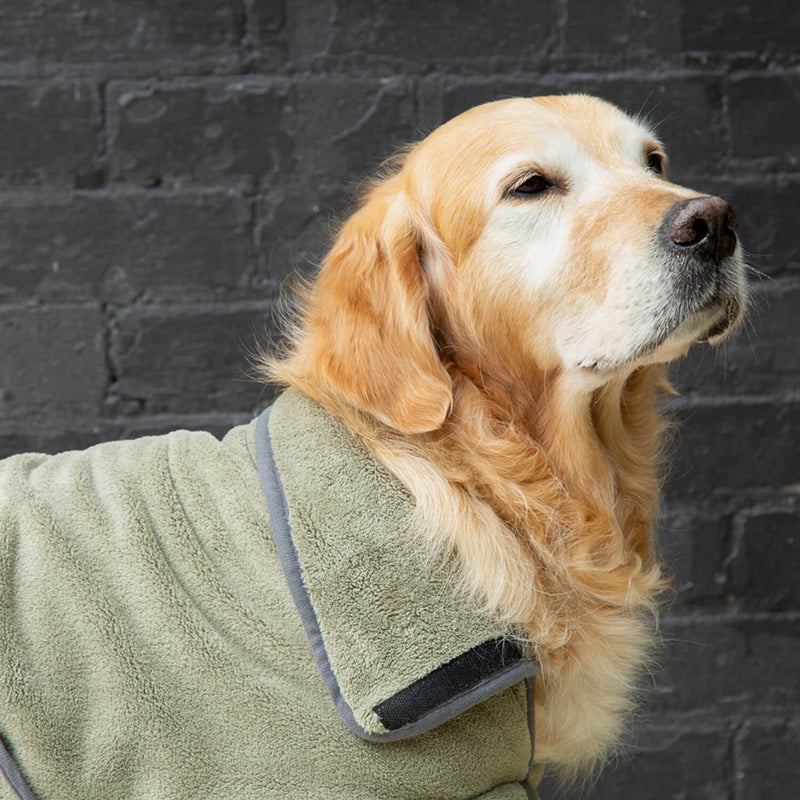 Scruffs Expedition Deluxe Noodle & Microfibre Dog Drying Coat - Large - Khaki Green