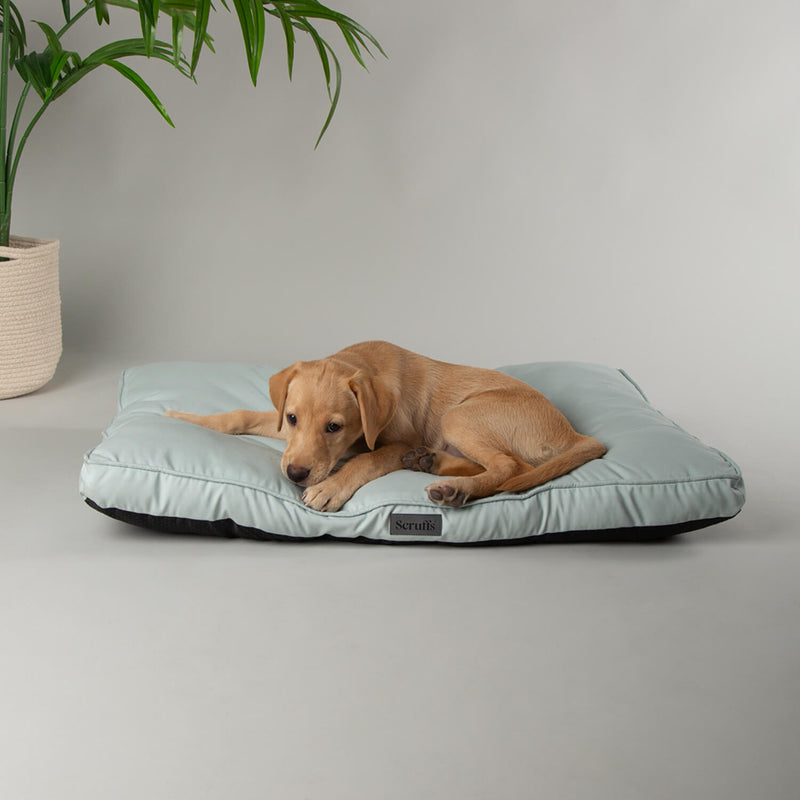 Scruffs Rio 80cm x 60cm Mattress - Assorted Colours