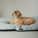 Scruffs Rio 80cm x 60cm Mattress - Assorted Colours