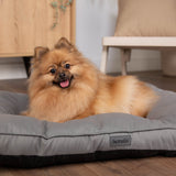Scruffs Rio 80cm x 60cm Mattress - Assorted Colours