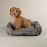 Scruffs Rio 60cm x 50cm Box Bed - Assorted Colours