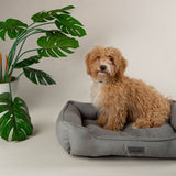 Scruffs Rio 60cm x 50cm Box Bed - Assorted Colours