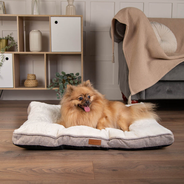 Scruffs Harmony 80cm x 60cm Mattress - Assorted Colours