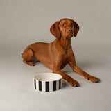 Scruffs Amalfi 19cm Stoneware Pet Bowl- Black