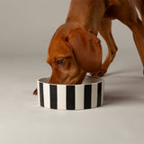 Scruffs Amalfi 19cm Stoneware Pet Bowl- Black
