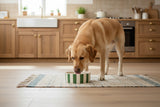 Scruffs Amalfi 19cm Stoneware Pet Bowl - Green
