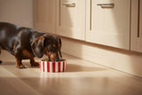 Scruffs Amalfi 13cm Stoneware Pet Bowl - Red